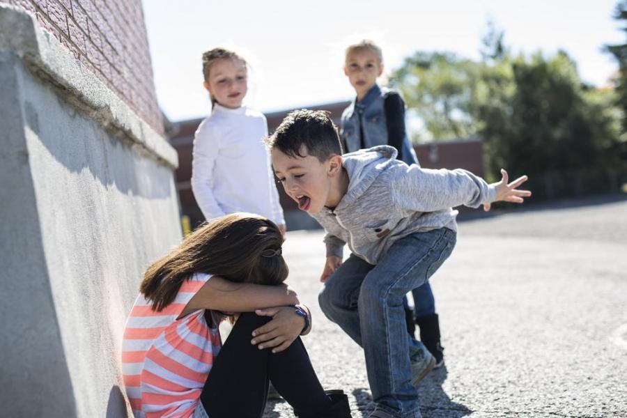 Bullismo, il Papa: «Finalizzato a sminuire l'altro per sentirsi realizzati»