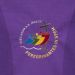 Paliotto GIUBILEO 2025 Art. 252 colore viola particolare