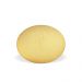 Patena incisa - art. 567